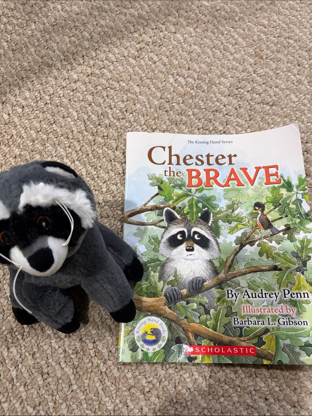 Scholastic Chester the Brave - paperback picture book Grey plush raccoon